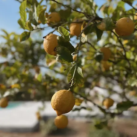 Stefano - Avec Piscine Privee A Trapani * Rilievo