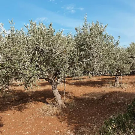 Villa Stefano - Avec Piscine Privee A Trapani *