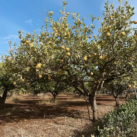 Stefano - Avec Piscine Privee A Trapani